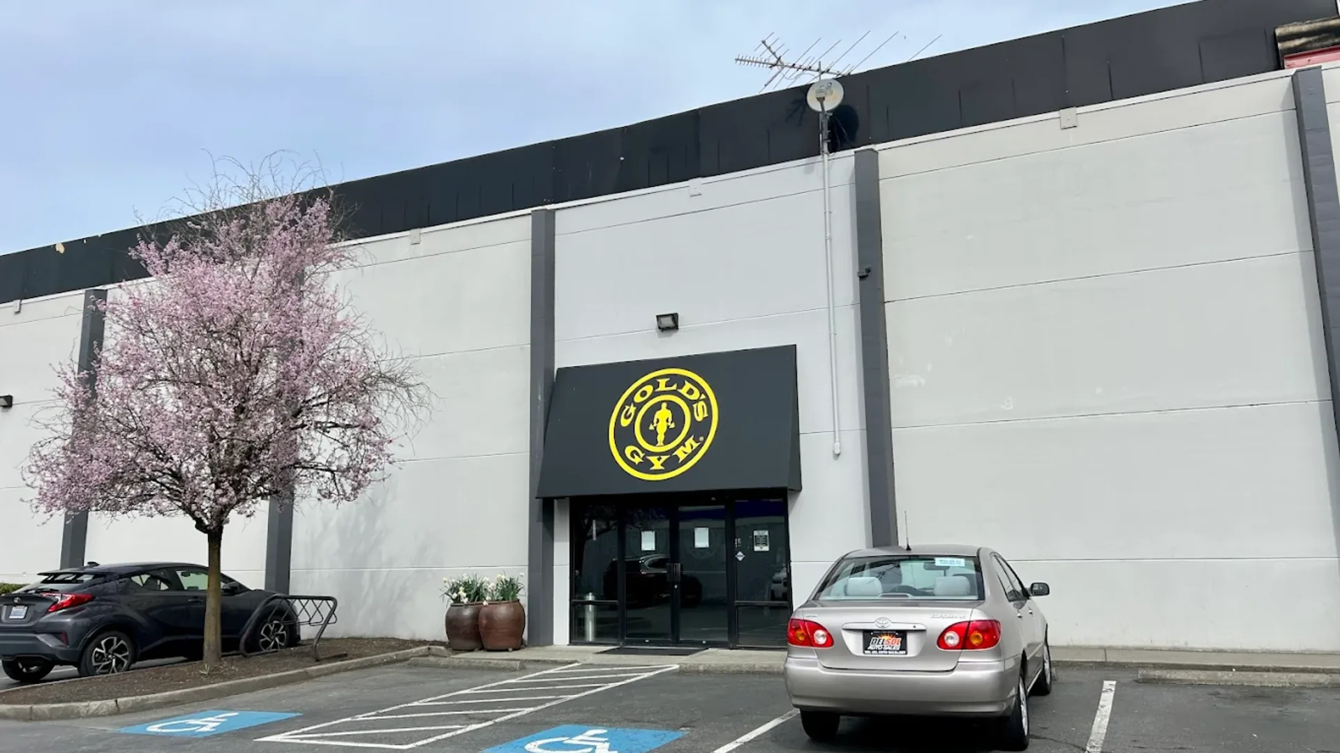 Exterior of Gold’s Gym Kirkland with gray facade, yellow logo, and blooming tree in the parking area.