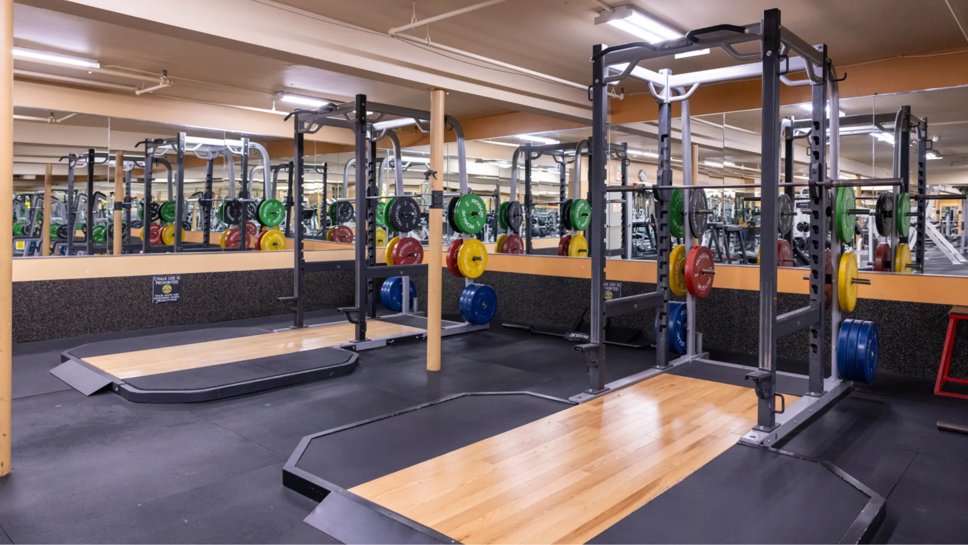 Olympic lifting platforms at Gold’s Gym New York, East Northport, featuring polished wooden platforms with rubber surrounds and racks equipped with colorful bumper plates. The space includes large wall mirrors for form checking, overhead lighting, and a clean, organized layout ideal for weightlifting.