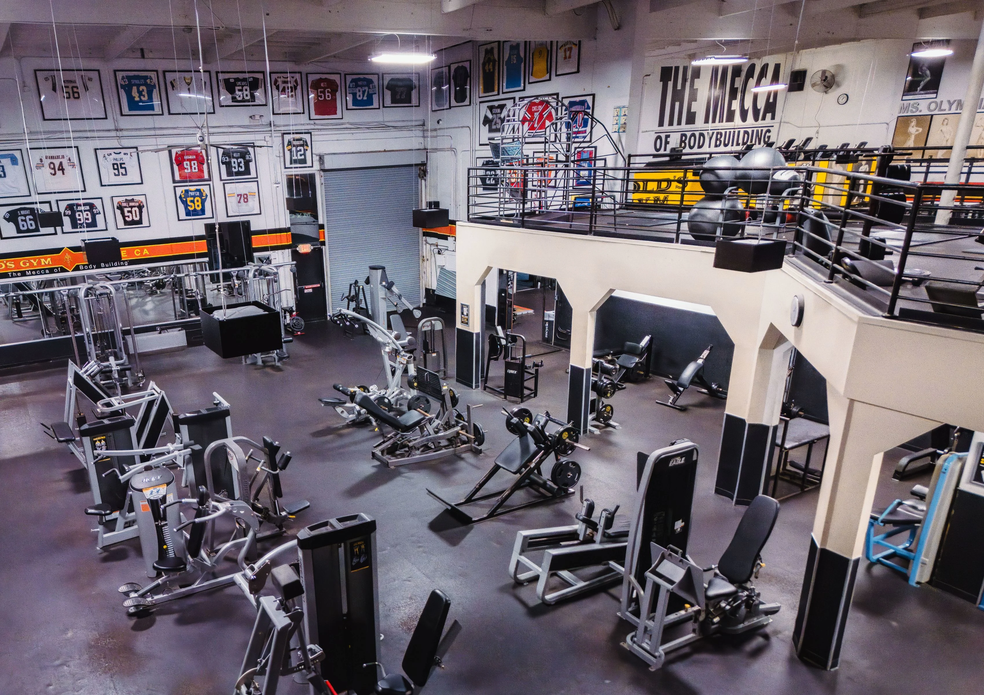 Gold's Gym Venice | Venice, CA 90291 | Stronger Starts Here