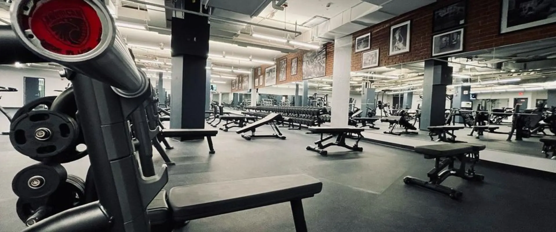 Free Weight Area