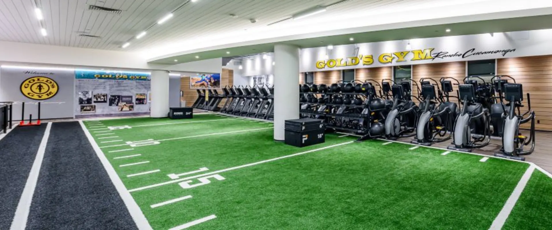 Signature Playground Turf Area at Gold's Gym Rancho Cucamonga