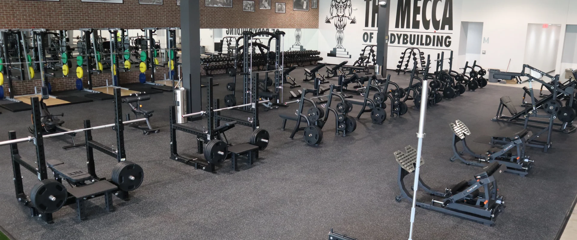 Free Weight Area
