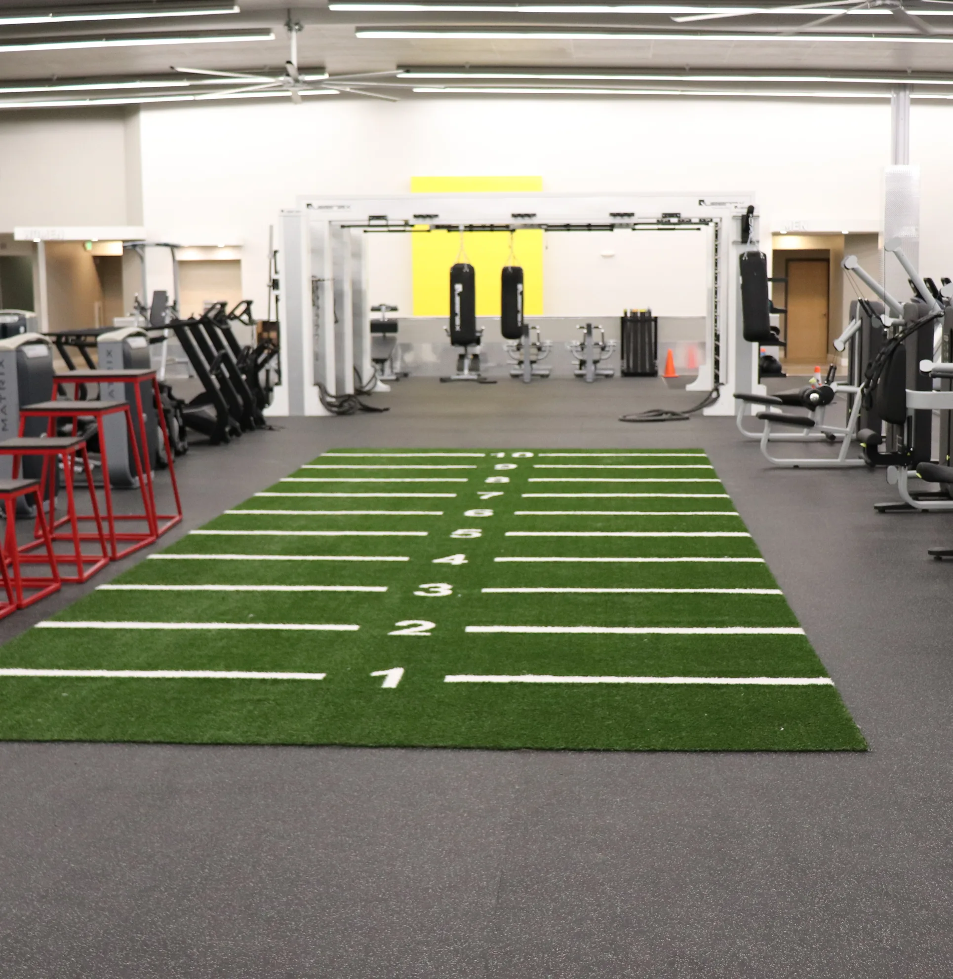 GOLD'S GYM サイン入り写真 fucntional-area.webp?_a=BAAAV6DQ