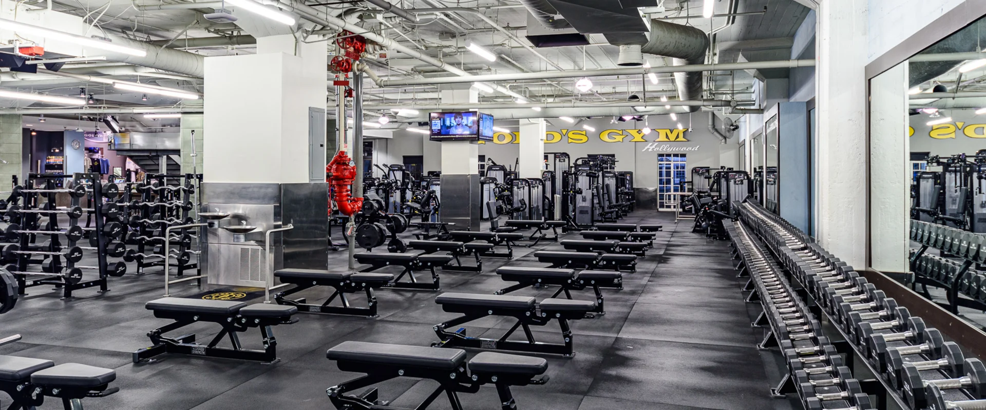 Free weight area at Gold’s Gym Hollywood, featuring rows of dumbbells neatly arranged on long racks along mirrored walls. Adjustable black benches are positioned throughout the space on black rubber flooring. Barbells and weight plates are stored on racks nearby. Overhead fluorescent lights illuminate the area, with exposed ductwork and ceiling pipes visible above. A red fire suppression system is mounted near a structural column. In the background, strength machines and a Gold’s Gym Hollywood sign are visible. Wall-mounted TVs display content above the workout area.