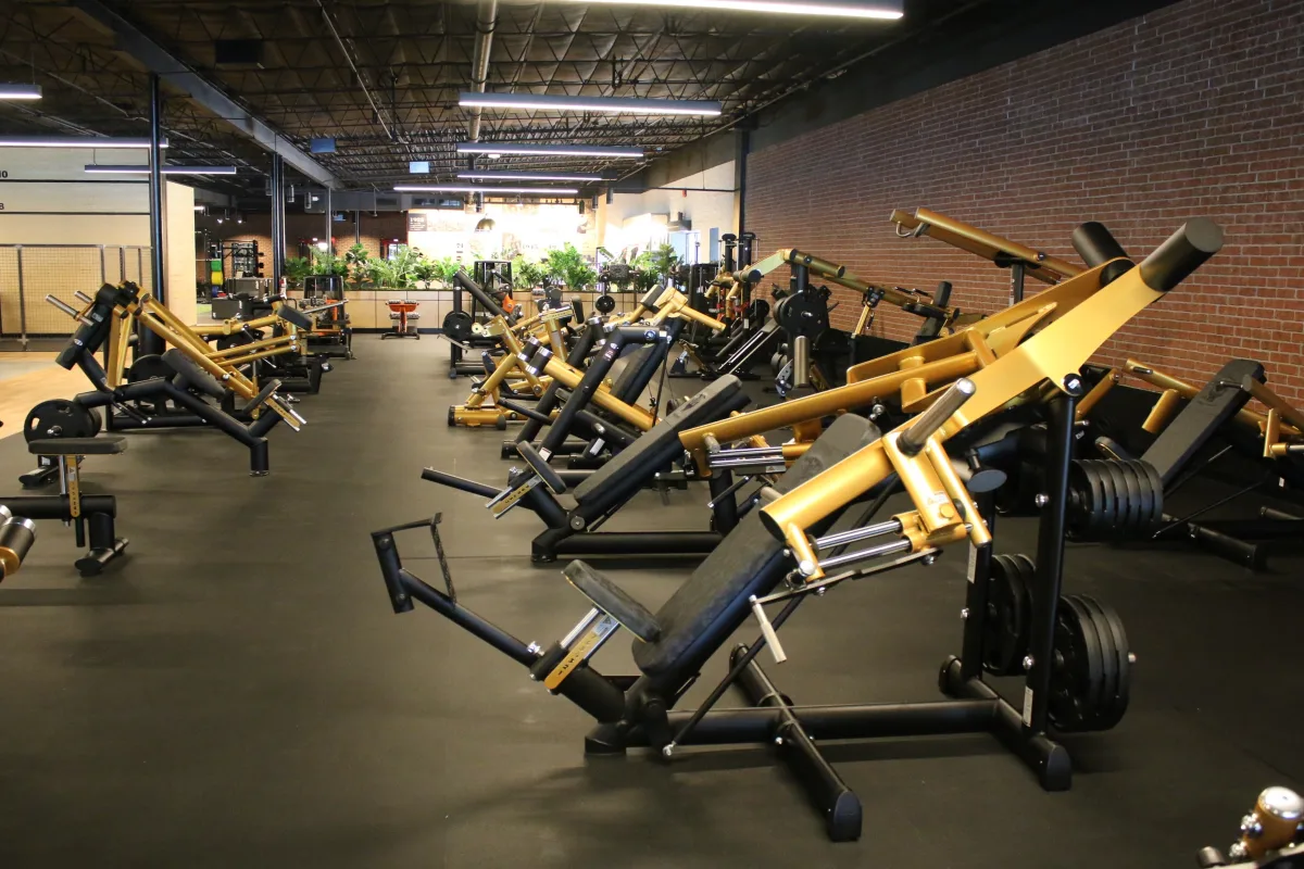 Gold's Gym Austin Burnet Austin Burnet, TX 78757 Build Strength