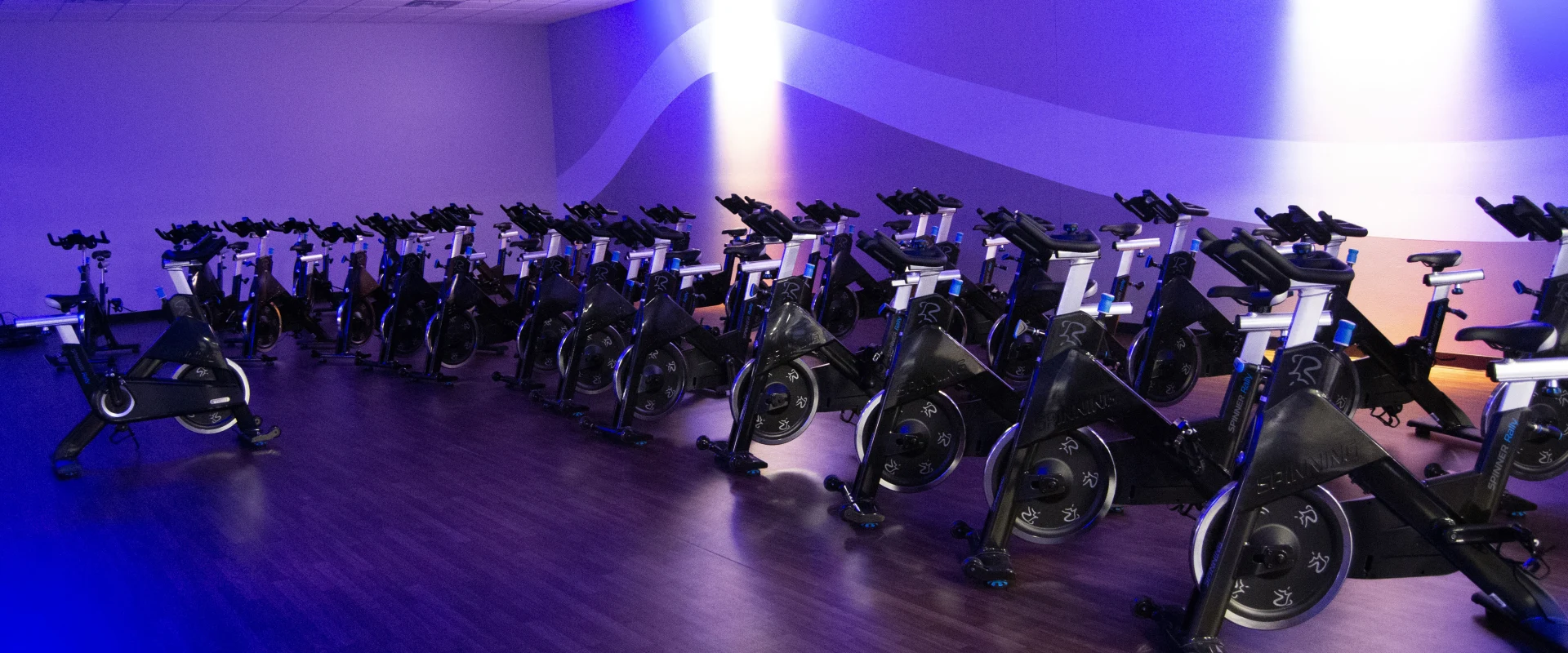 We offer a wide variety of classes every week to help you stay motivated!