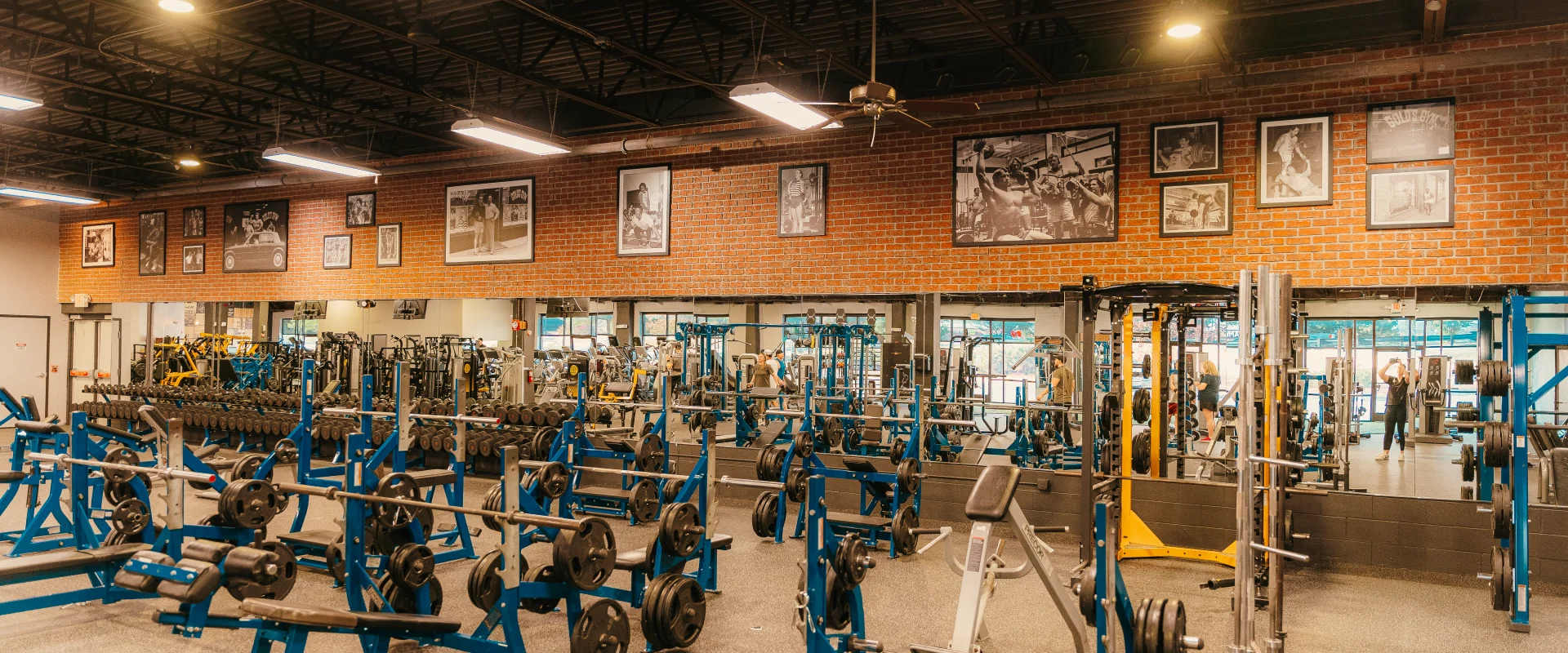 A full view of the free weights area at Gold's Gym Hendersonville, featuring red brick walls, mirrors along the walls with photos above them, and ceiling fans hanging from the walls, along with large light fixtures overhead.