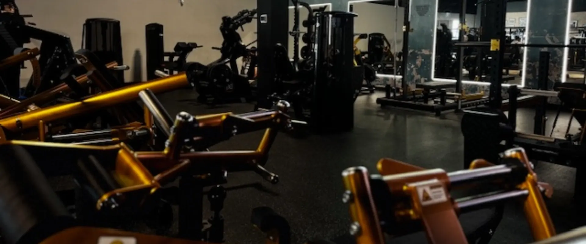 Platinum Room with exclusive gym80 strength equipment for high-performance training.