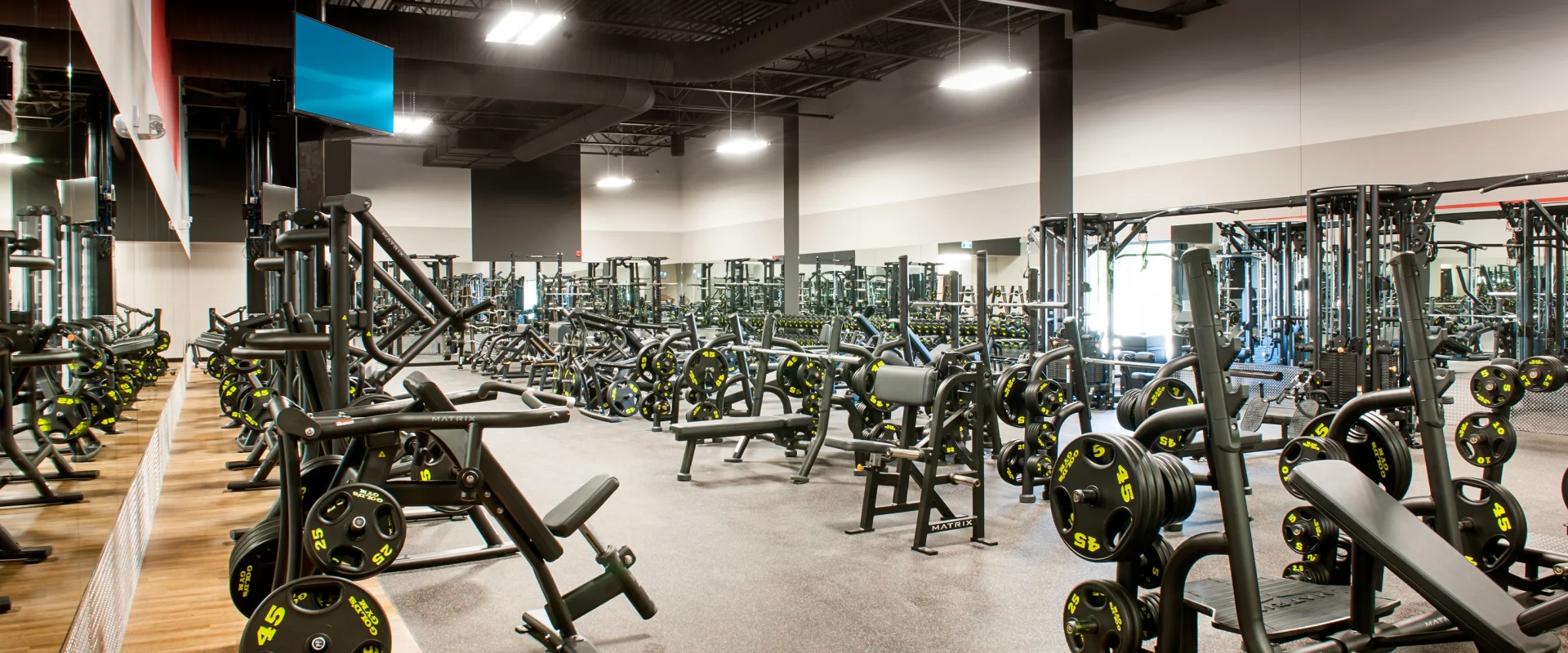 Free weight area at Gold’s Gym Laval with rows of black plate-loaded equipment, rubberized flooring, and mirrored walls, designed for strength-focused workouts.