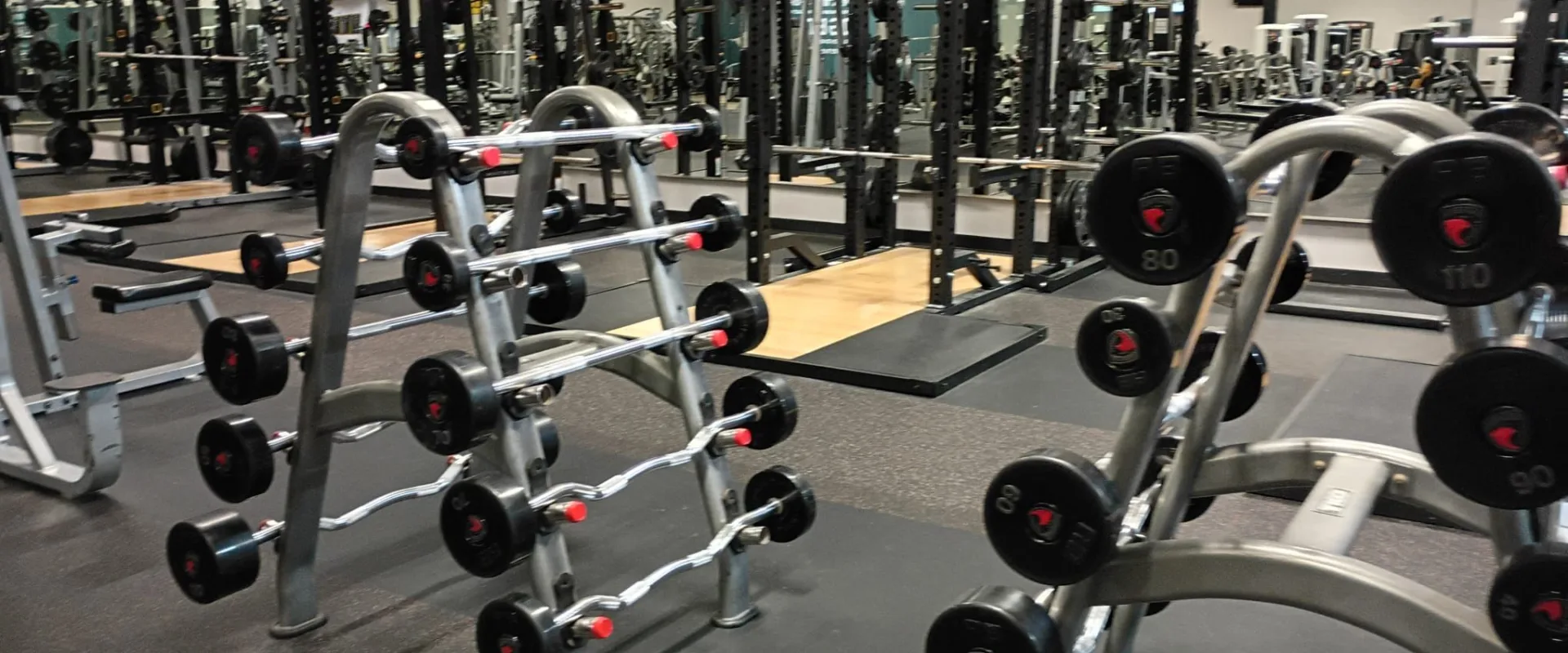 Dumbbell racks and free weight benches in the weightlifting area of Gold’s Gym South Texas in Harlingen.