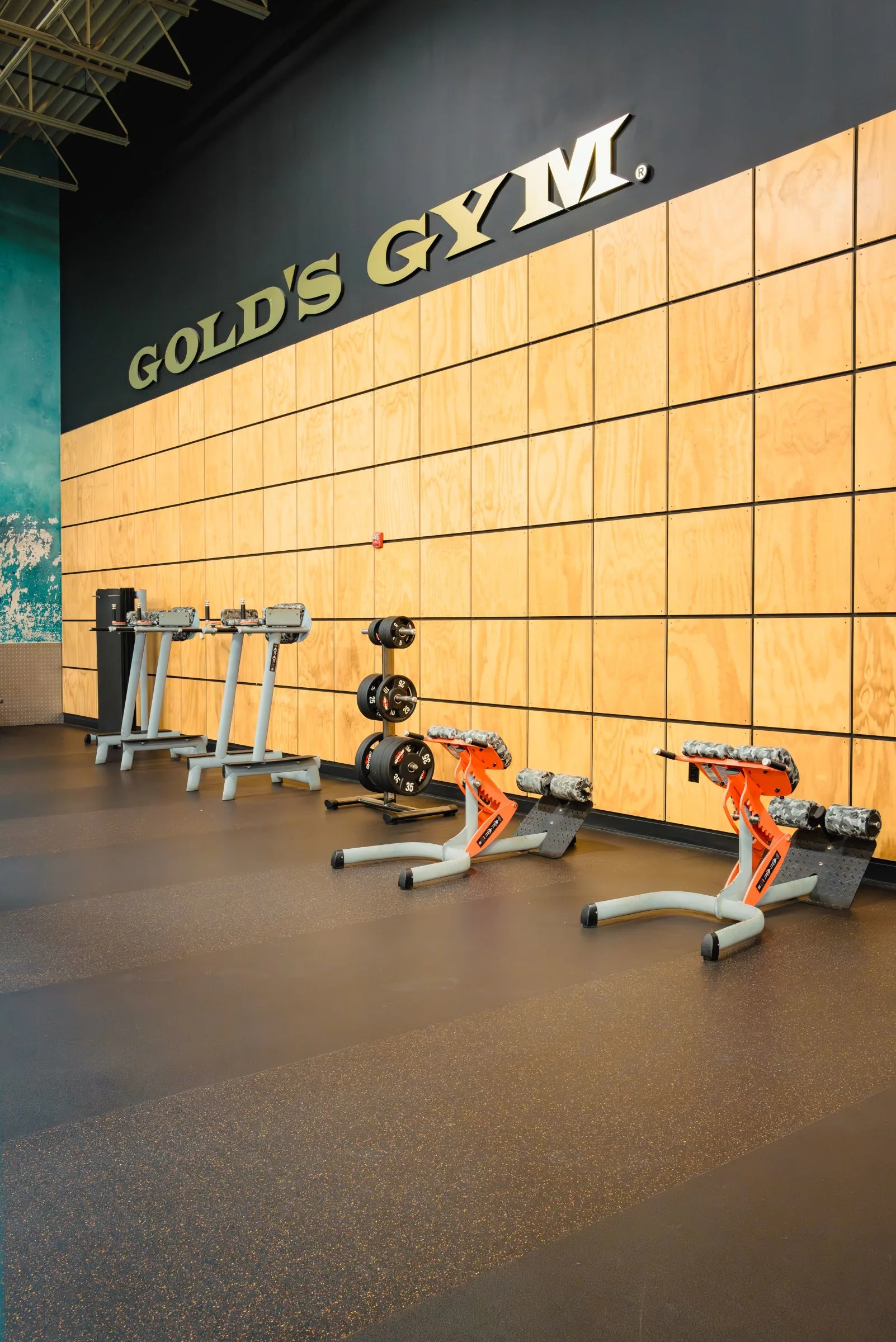 Gold's Gym San Antonio Bandera Trails | TX 78023 | Strength Training
