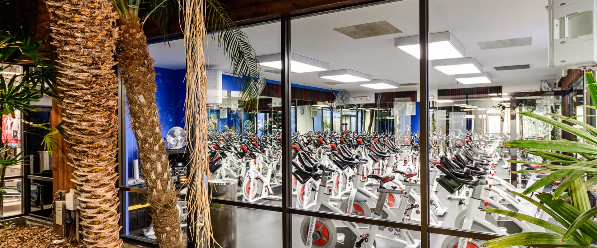 golds gym goleta cardio equipment