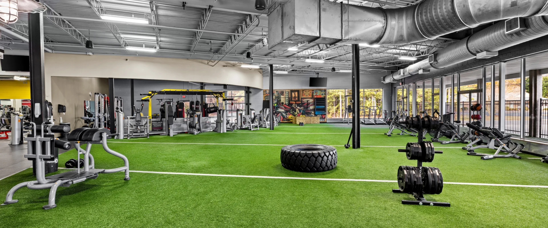 Turf showing boxing area.