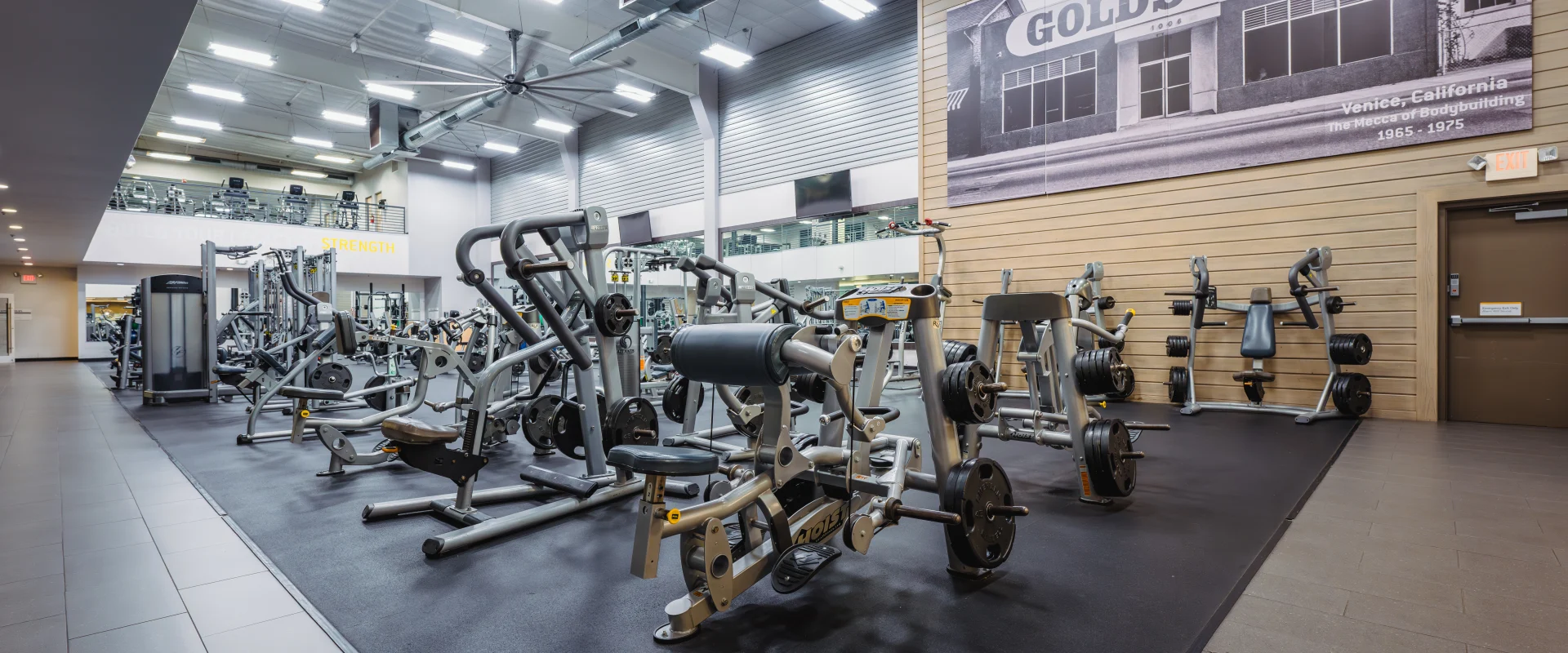 Weight machine area at Gold's Gym Oklahoma City (Moore), showcasing various strength-training machines, a large Gold's Gym historical mural, wood-paneled wall accents, and high ceilings with bright industrial lighting.