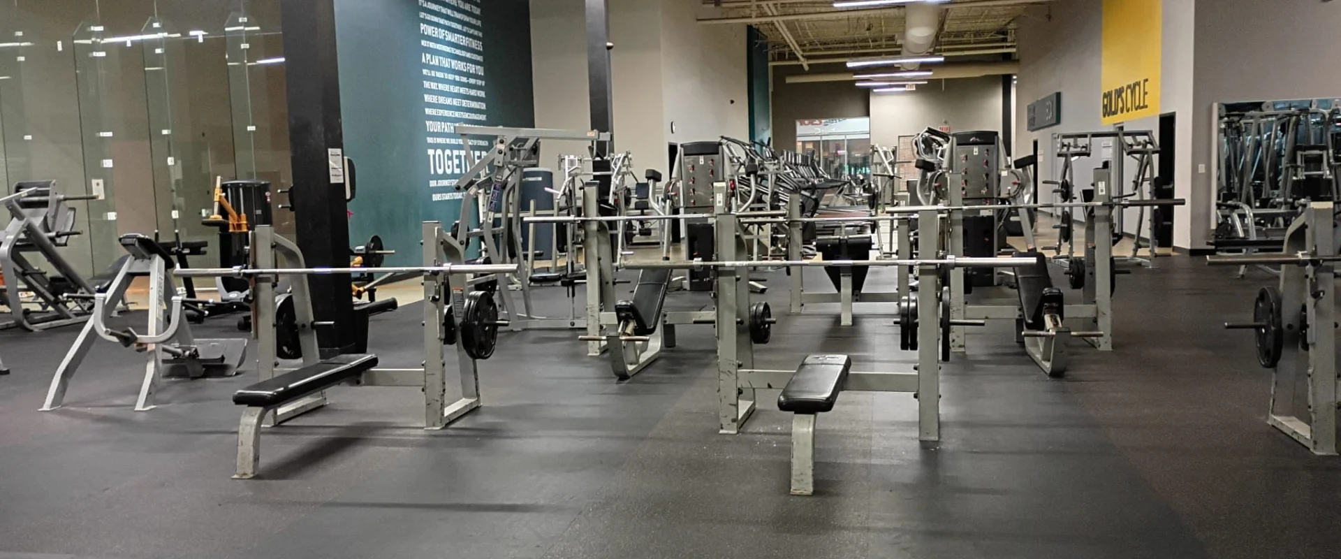Olympic weight benches with barbells in the training section at Gold’s Gym South Texas in Harlingen.