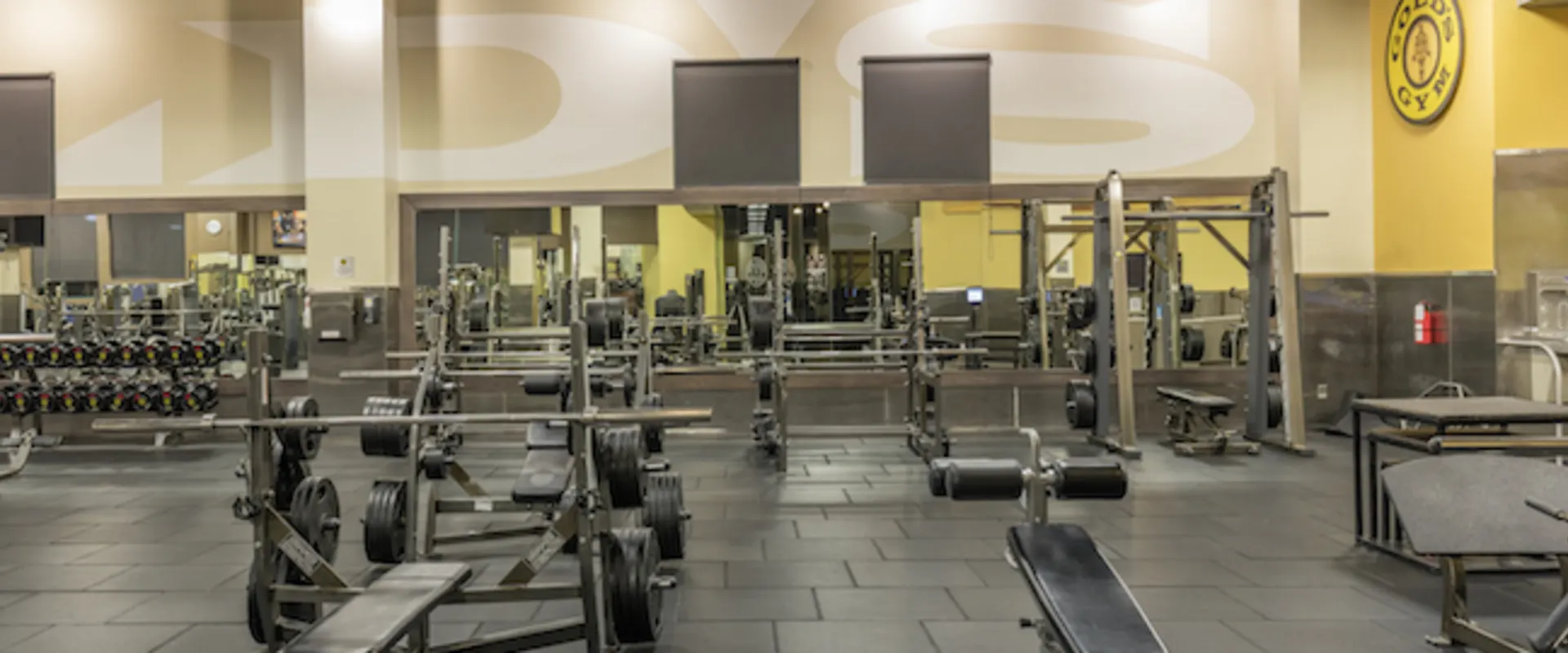 Gold's Gym Valencia weightlifting section