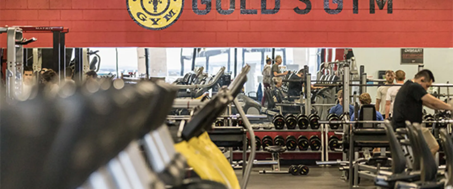 main workout floor of golds gym