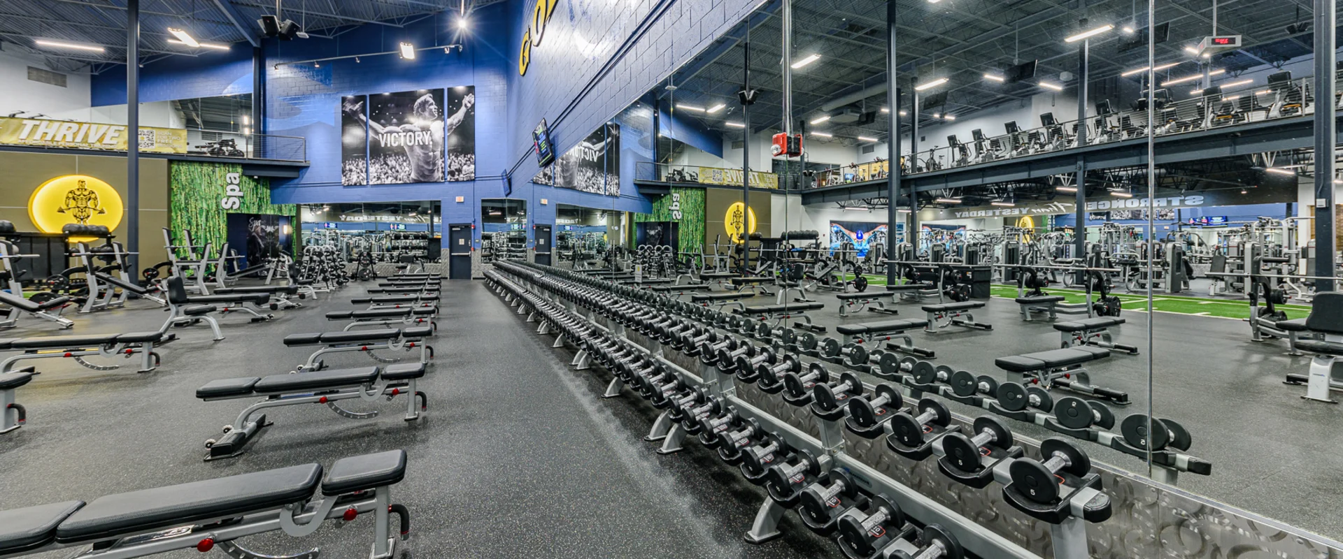 A spacious dumbbell section with long rows of dumbbells organized by weight. Multiple adjustable benches are spread across the rubber flooring. Large mirrors and the Gold’s Gym logo cover the walls.
