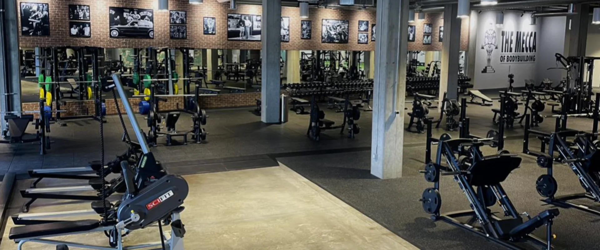 Free Weight and Strength Area