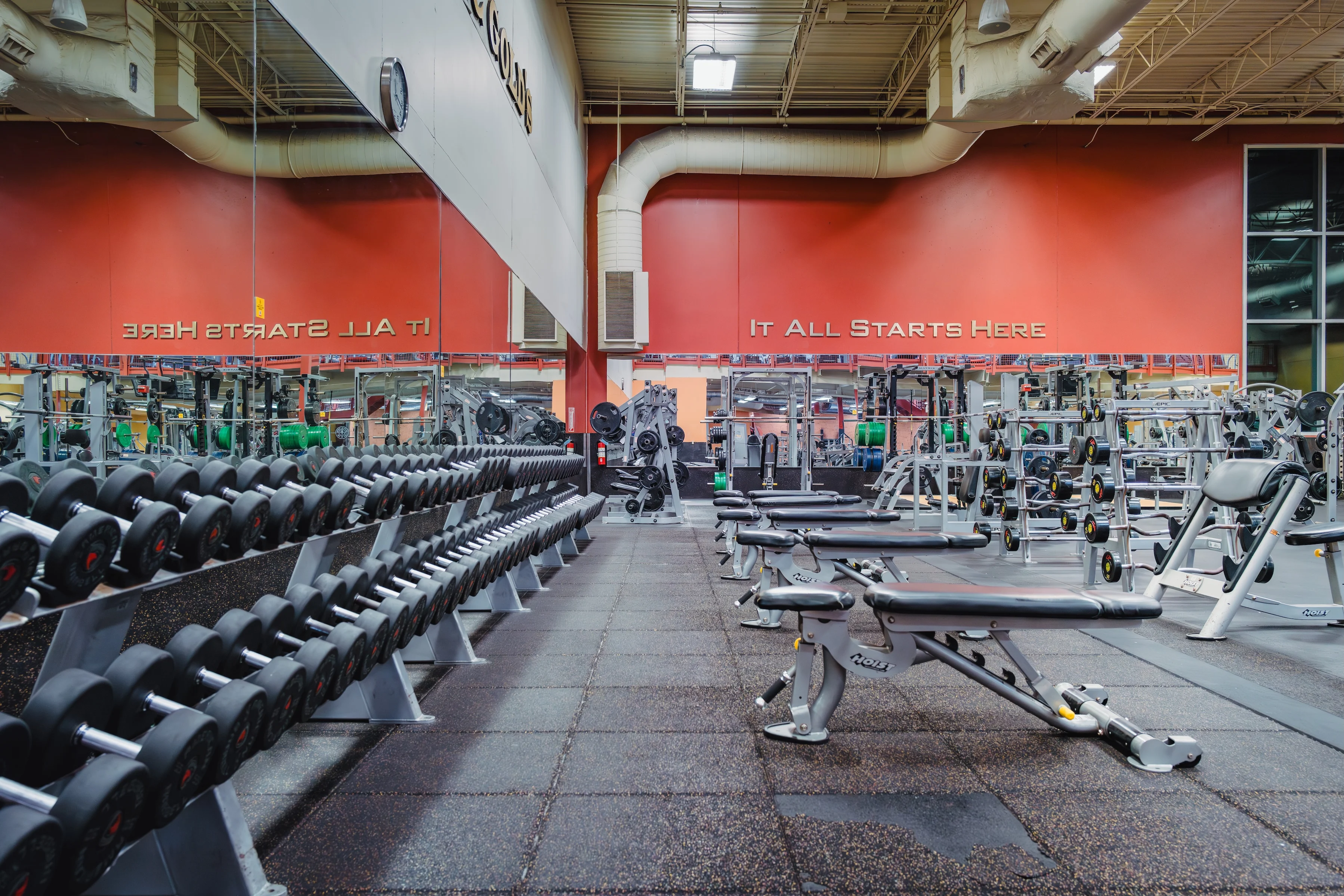 Gold's Gym Fiesta Trails | San Antonio, TX 78230 | Strength & Fitness