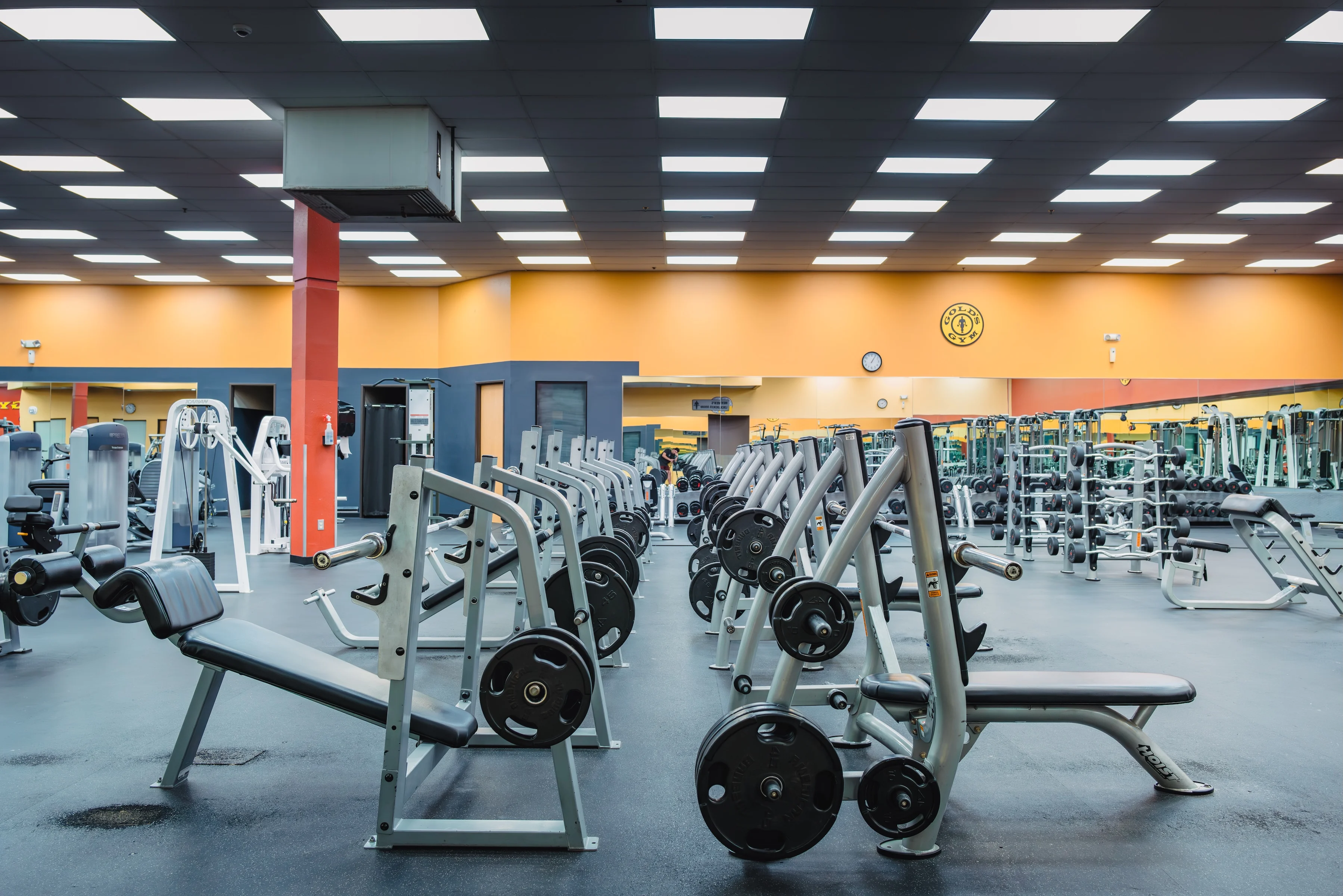 Gold's Gym Babcock | San Antonio, TX 78229 | Fitness Fueled Daily