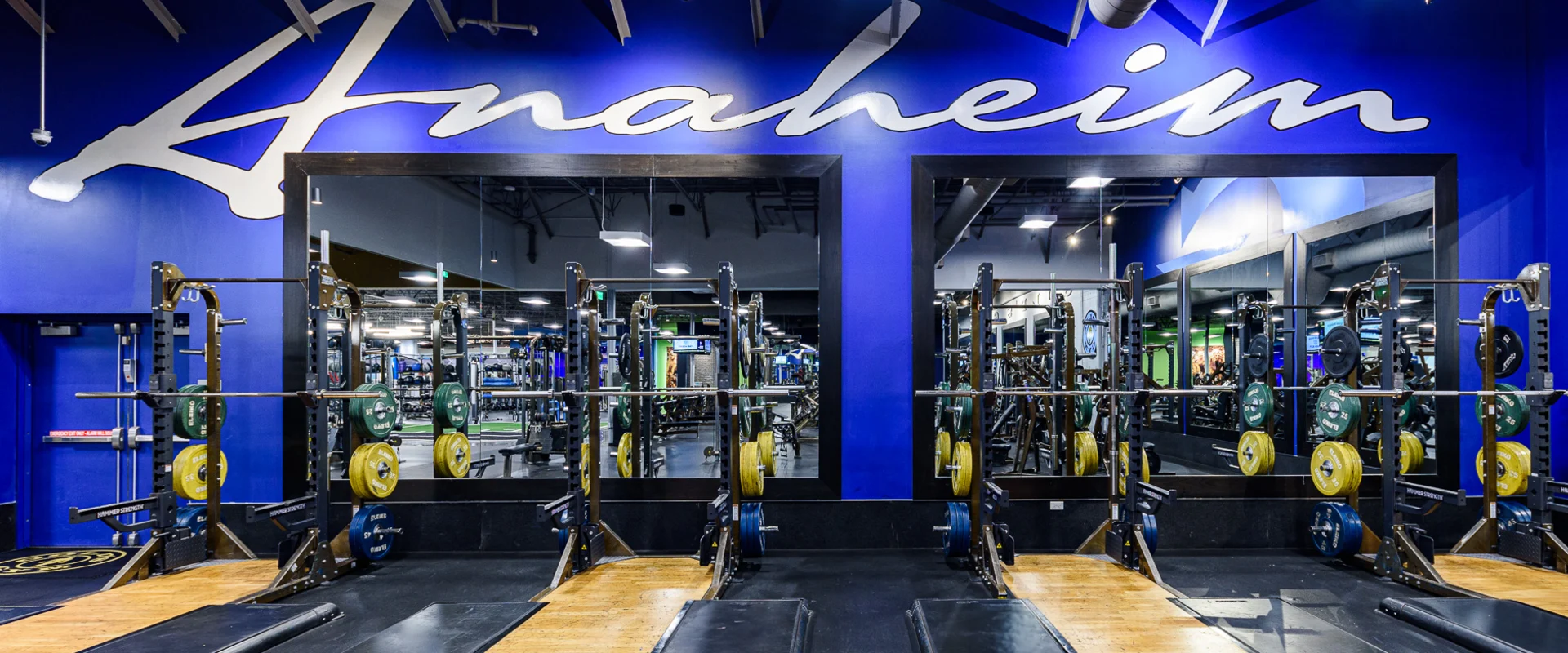 Olympic lifting area at Gold's Gym Garden Grove, featuring four professional-grade lifting platforms with wooden centers and black rubber edges. Each platform has a squat rack equipped with multiple weight plates in yellow, green, and blue. The space is set against a bold blue wall with “Anaheim” written in large cursive script, with full-length mirrors reflecting the gym interior.