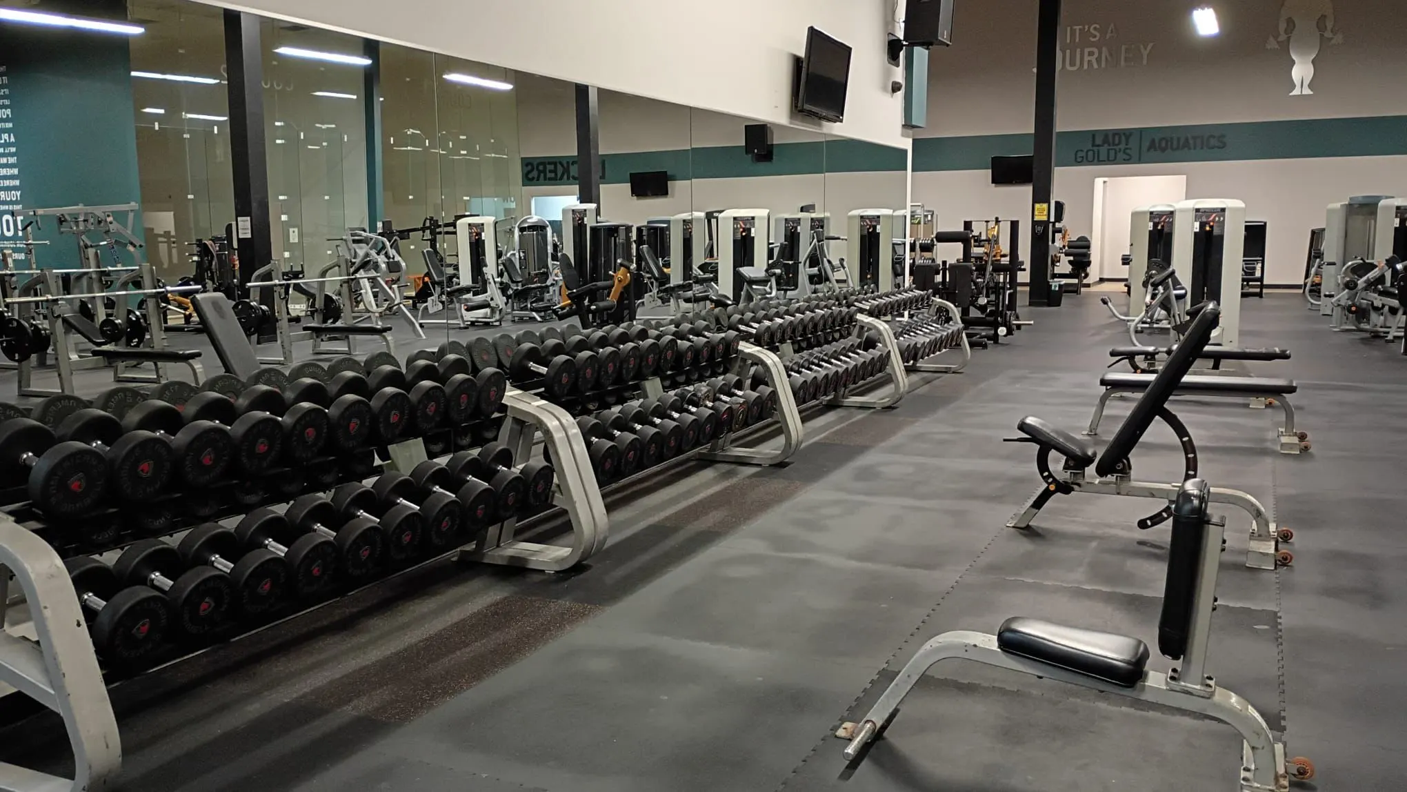 Gold's Gym photo 1 in Harlingen