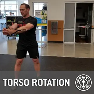 Cable Torso Rotation