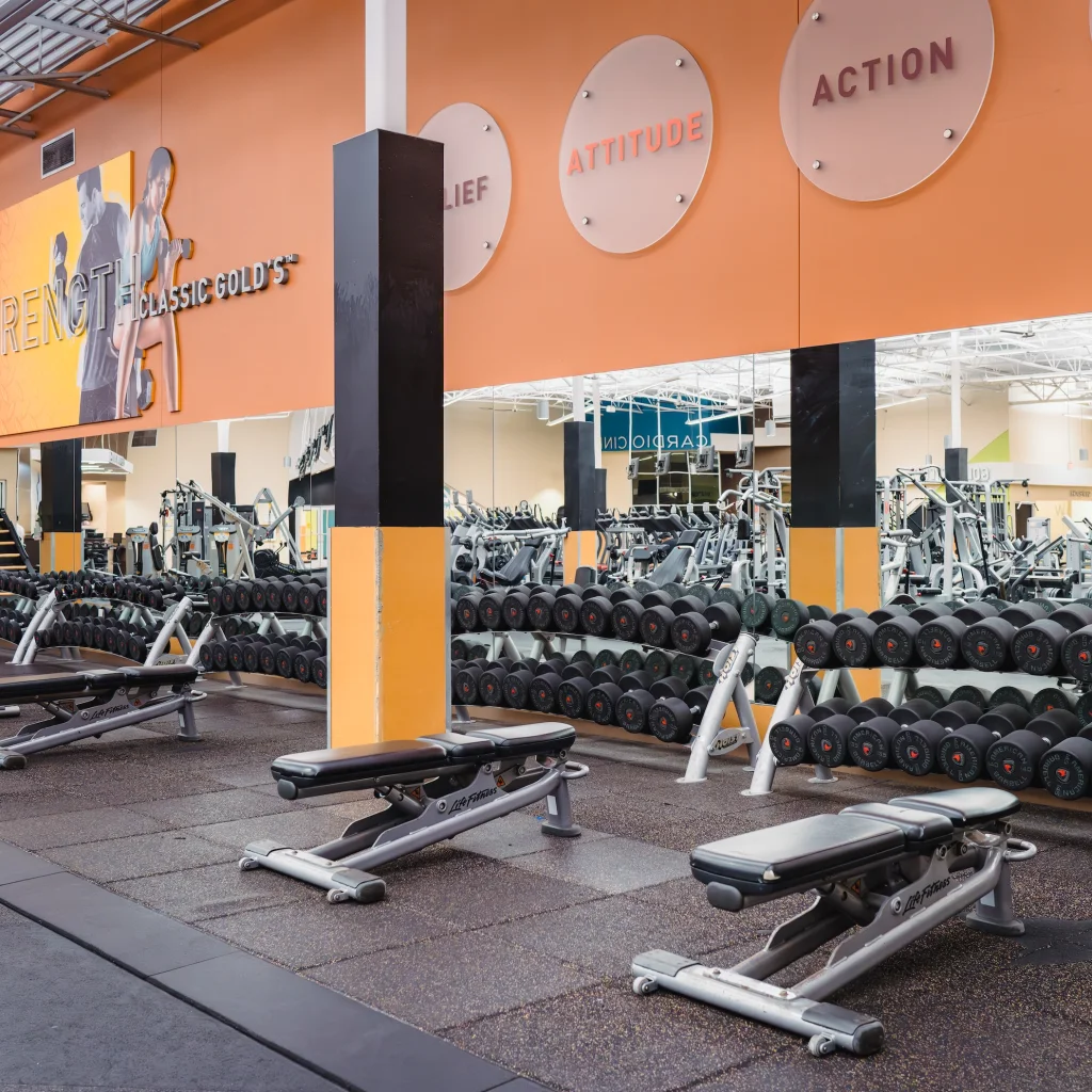 Bright gym interior with rows of dumbbells and benches, orange walls with motivational words like "Attitude" and "Action." Clean, organized, and inviting atmosphere.