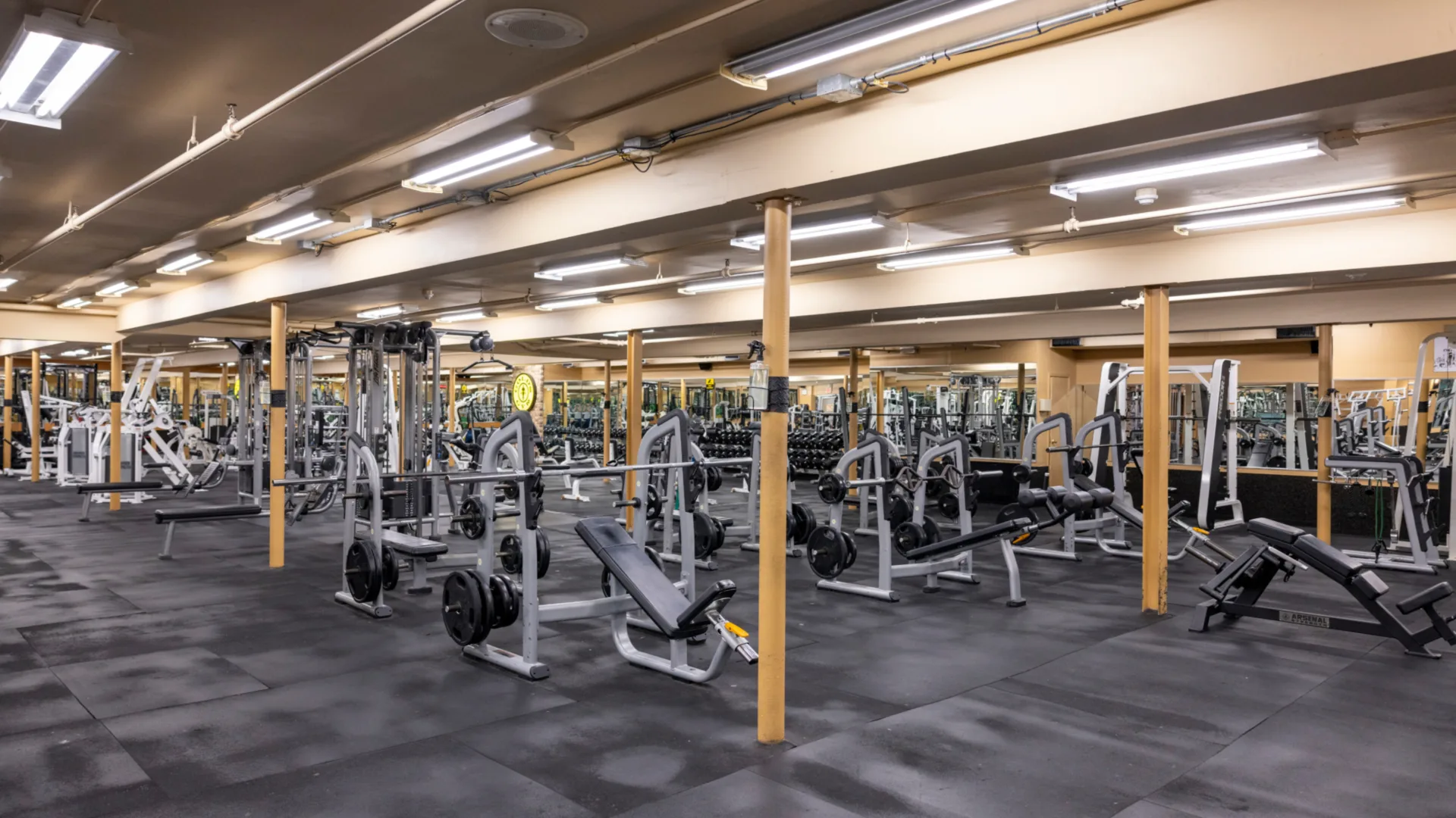Free weights area at Gold’s Gym New York (East Northport), featuring benches, barbells, and plate-loaded machines. Black rubber flooring provides traction and support, while mirrored walls enhance visibility for proper form. The open layout with overhead lighting and yellow support columns creates a spacious, well-organized training environment.