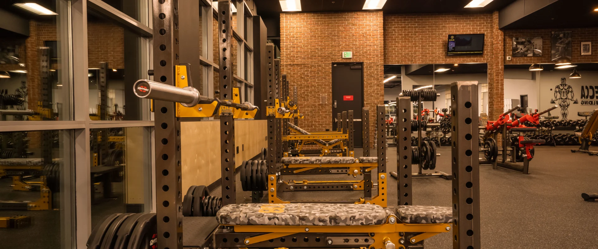 Weight Bench Area