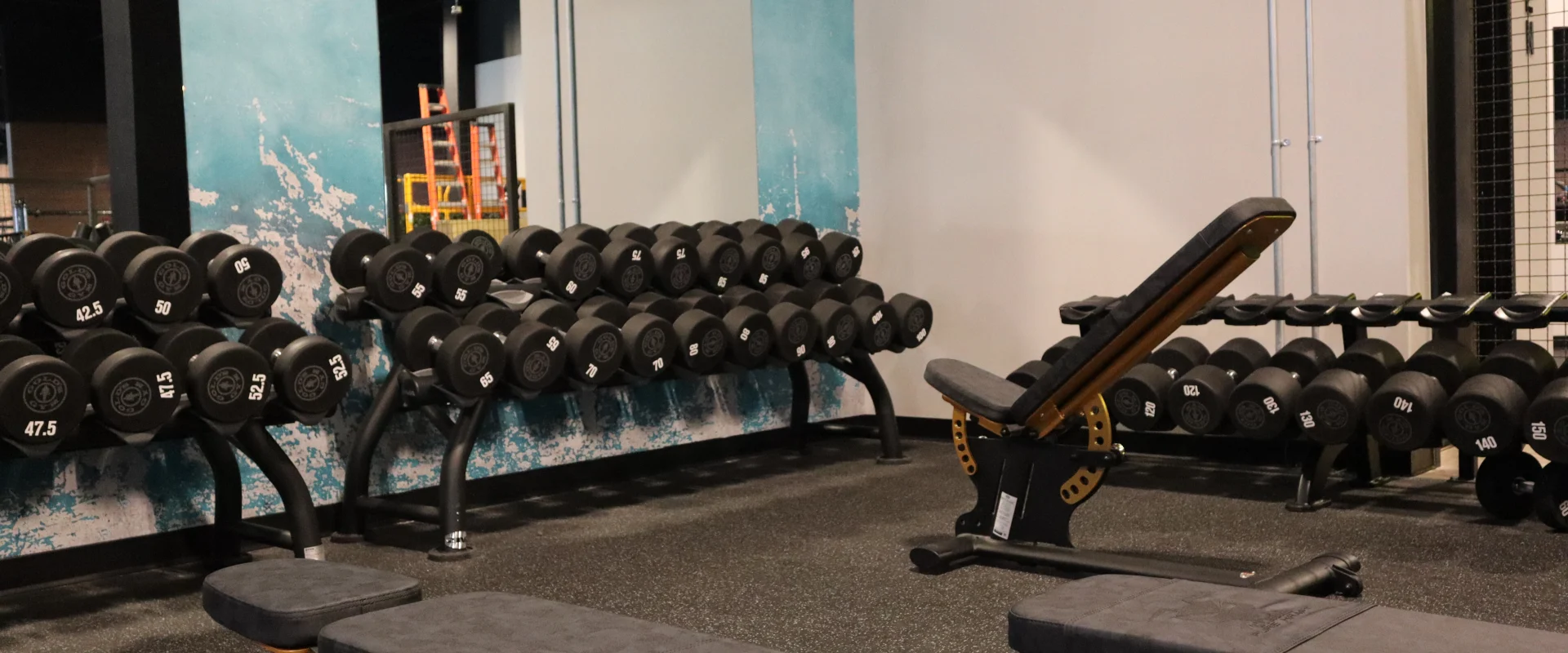Dumbbell section at Gold’s Gym Canada, Buffalo Run, Alberta, featuring neatly organized dumbbells on tiered racks against the iconic Venice Wall, a textured teal design inspired by Gold’s Gym’s heritage. Adjustable benches with ergonomic padding are positioned nearby for seated or incline exercises. The space is set on durable rubber flooring, creating a functional and comfortable strength-training environment.
