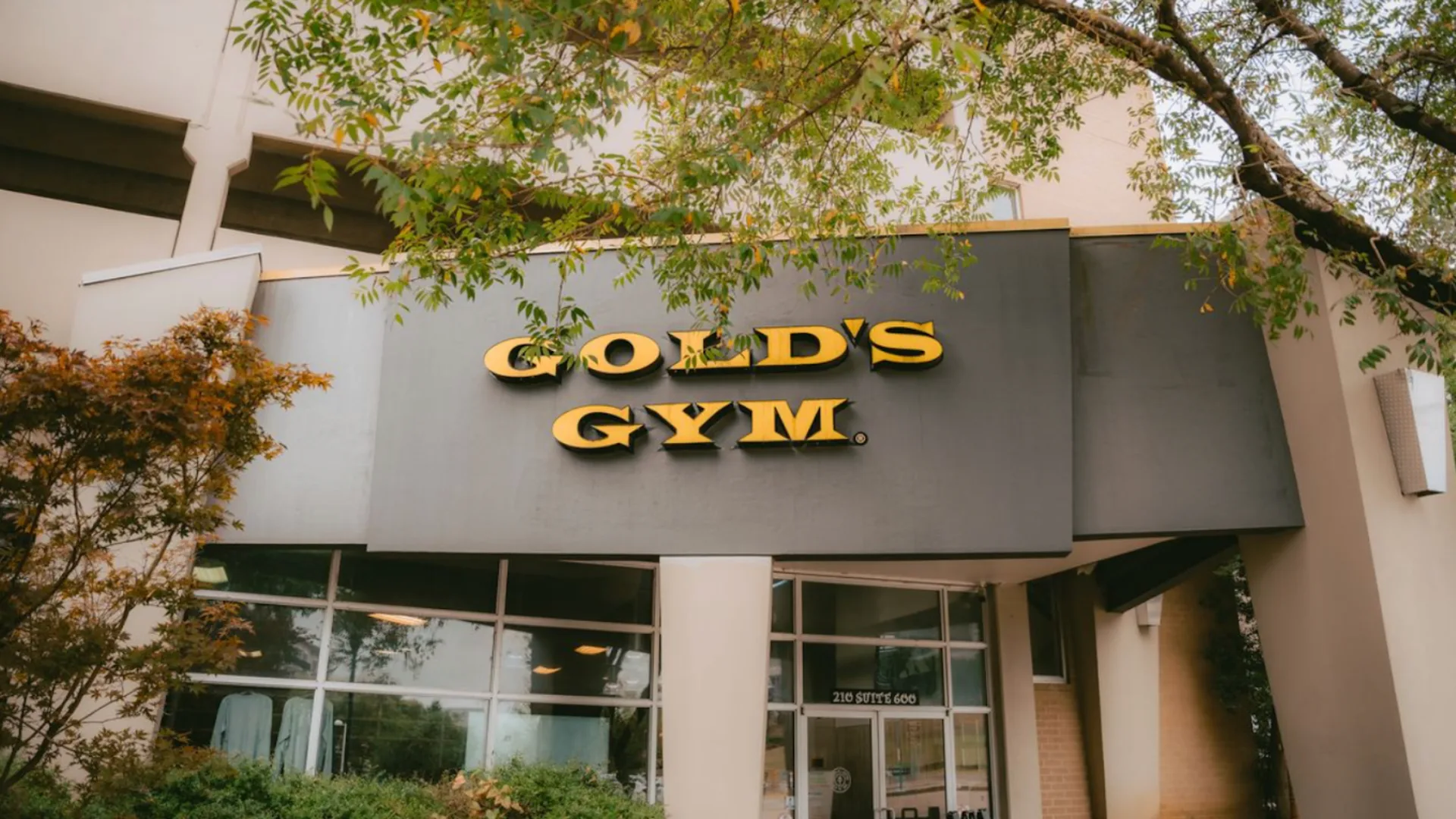 Exterior of Gold’s Gym Chattanooga with yellow signage above glass windows surrounded by trees and greenery.