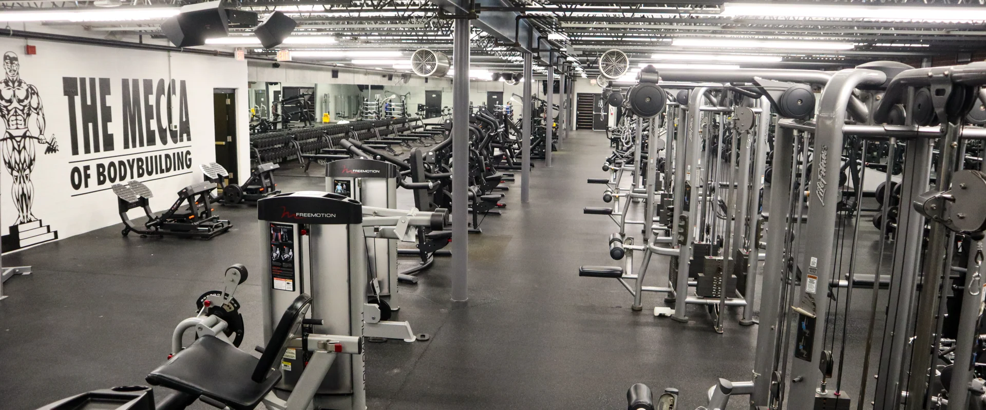 Free Weight and Strength Area