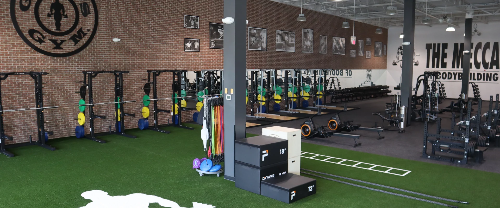 Turf Area