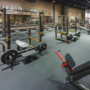 Gold's Gym Flower Mound