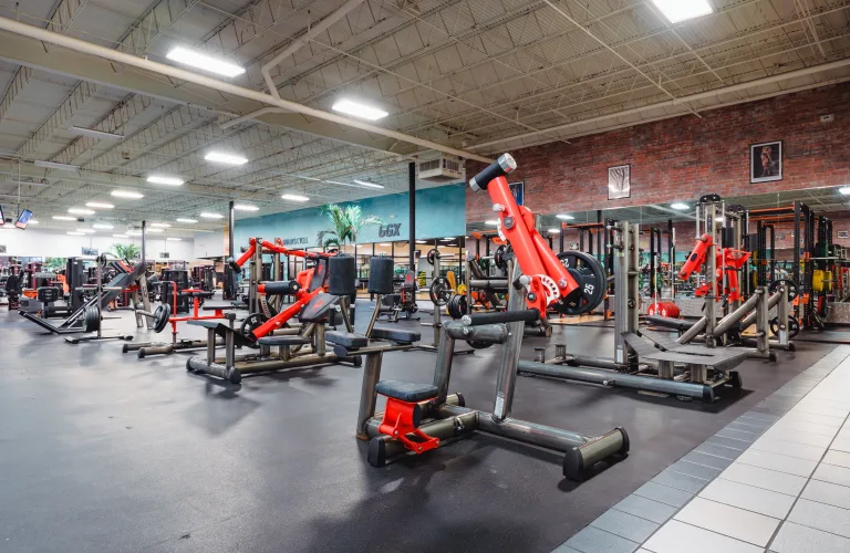 GOLD'S GYM × IRON NERVE Gold's Gym Crossroads | San Antonio, TX 78201 | Sweat With Purpose
