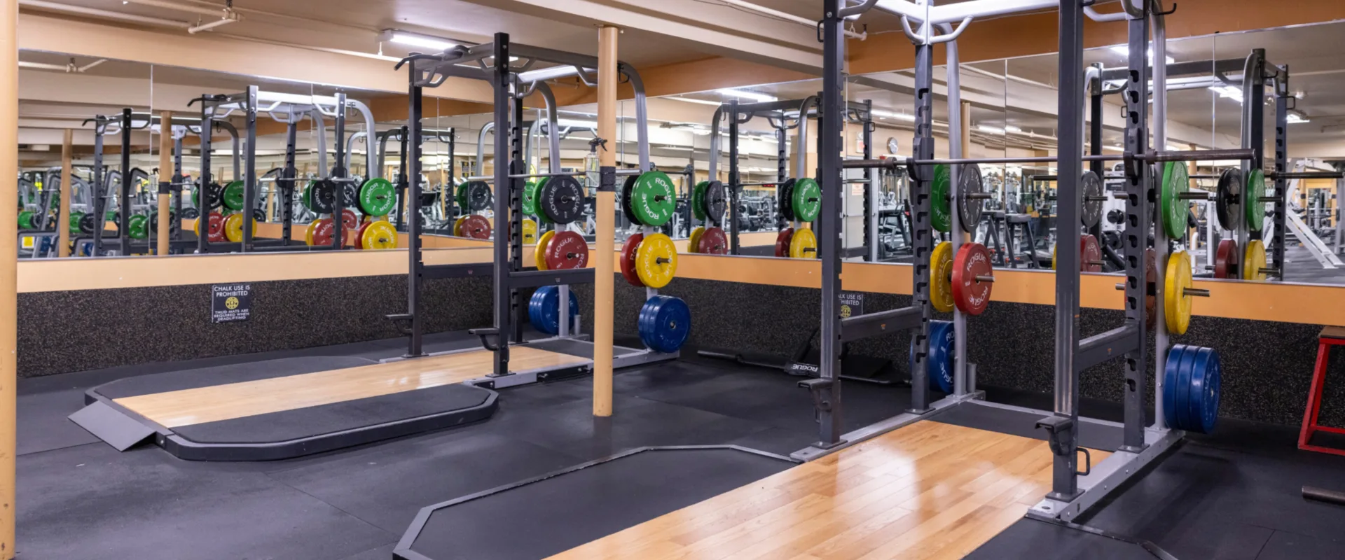 Olympic lifting platforms at Gold’s Gym New York, East Northport, featuring polished wooden platforms with rubber surrounds and racks equipped with colorful bumper plates. The space includes large wall mirrors for form checking, overhead lighting, and a clean, organized layout ideal for weightlifting.