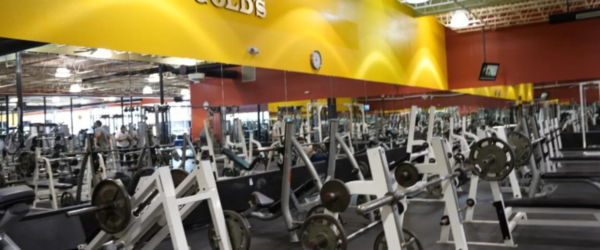 Free Weights