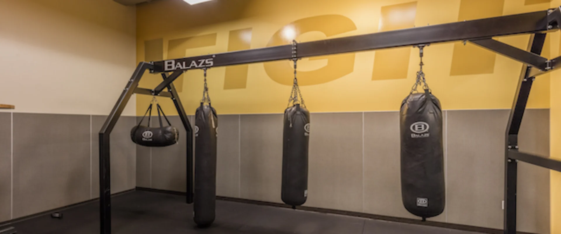 Montclair, CA gym boxing punching bags