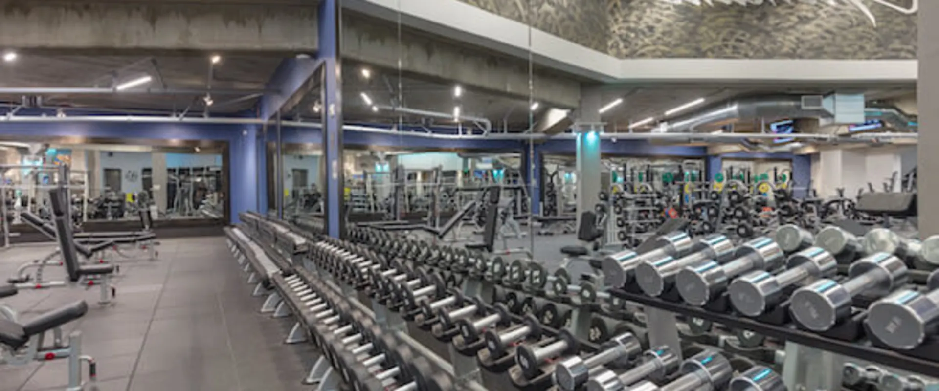 dumbbells at glendale ca gym