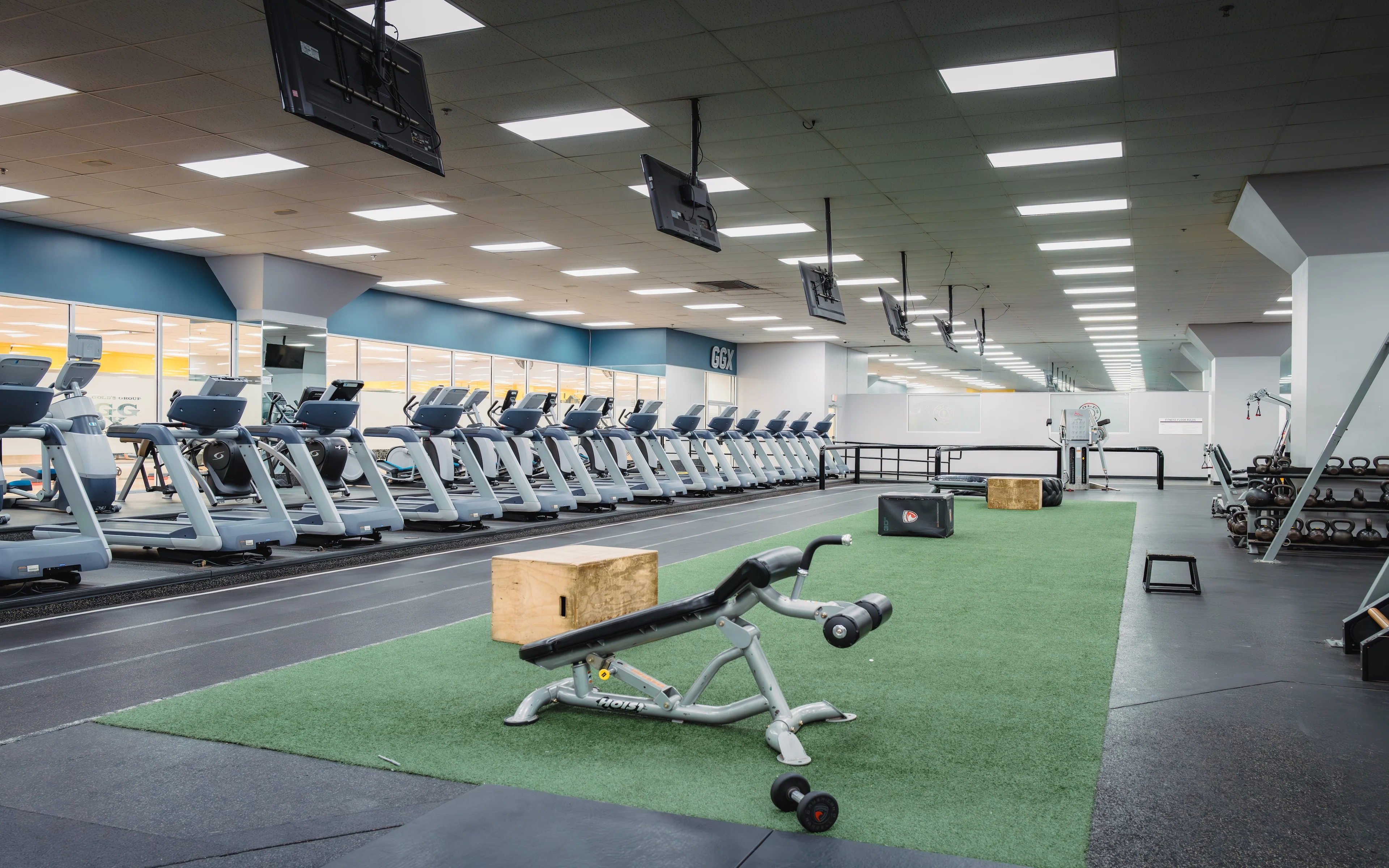 その他 Gold gym austin-burnet-machine-weights.