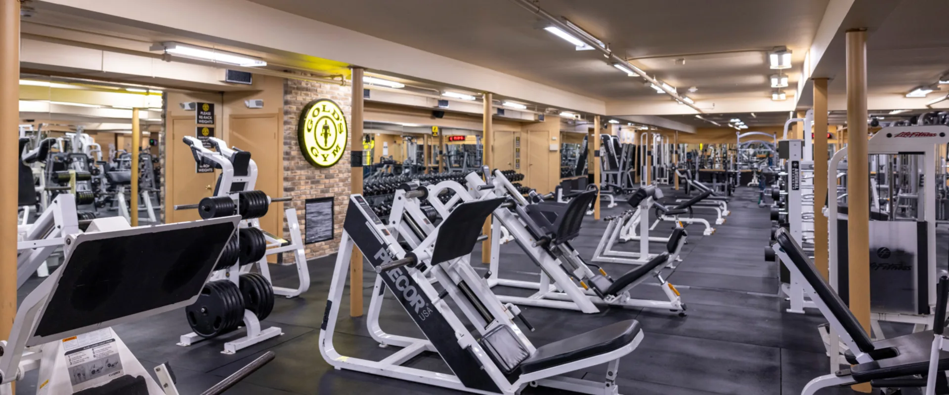 Plate-loaded machines at Gold’s Gym in East Northport, New York, arranged in rows on rubber flooring with black weight plates stacked nearby. The space features mirrored walls, bright overhead lighting, and a prominent Gold’s Gym logo mounted on an exposed brick accent wall. Benches and additional strength training equipment are visible throughout the gym.