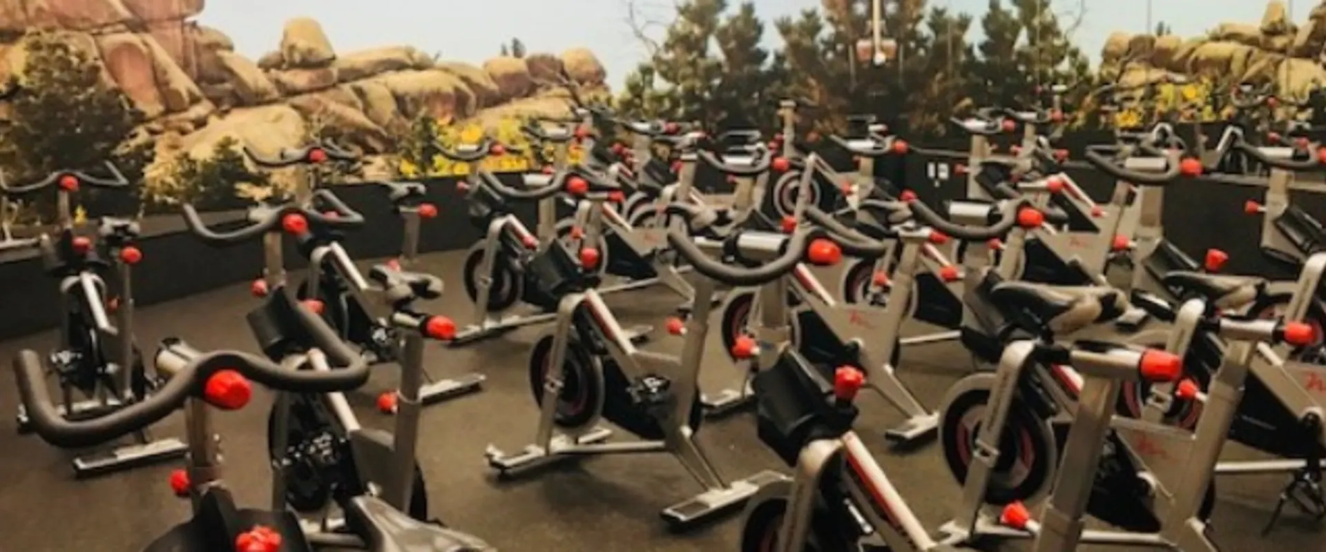 Spin Studio