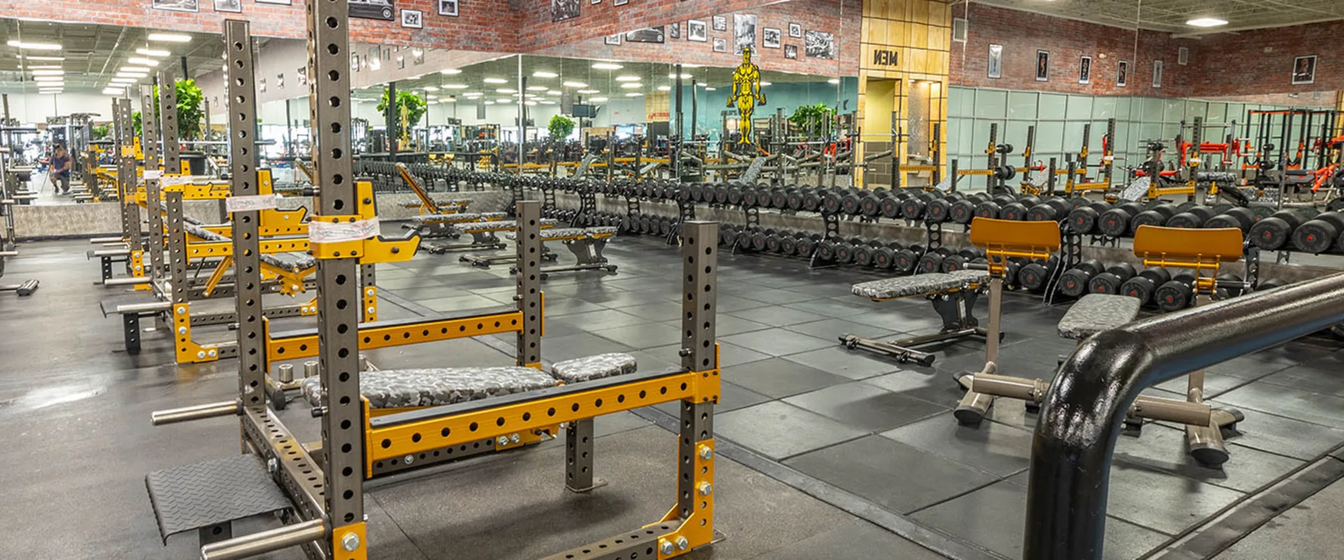 Gold’s Gym San Antonio Crossroads - Weight Area