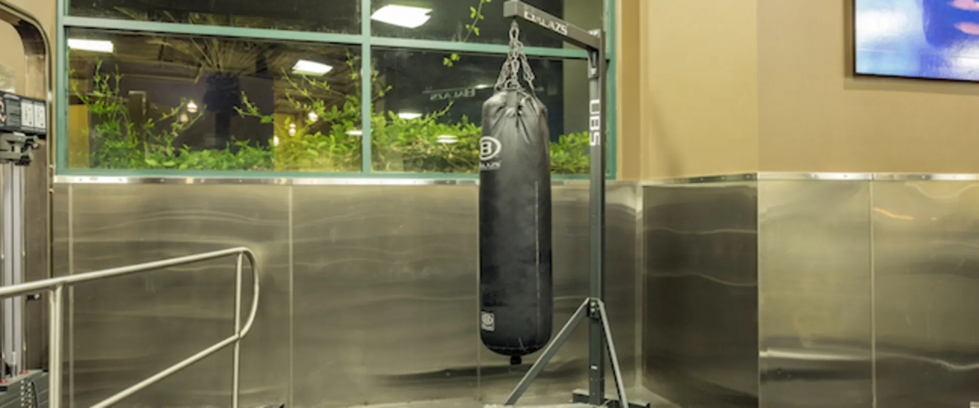Gold's Gym Valencia punching bag