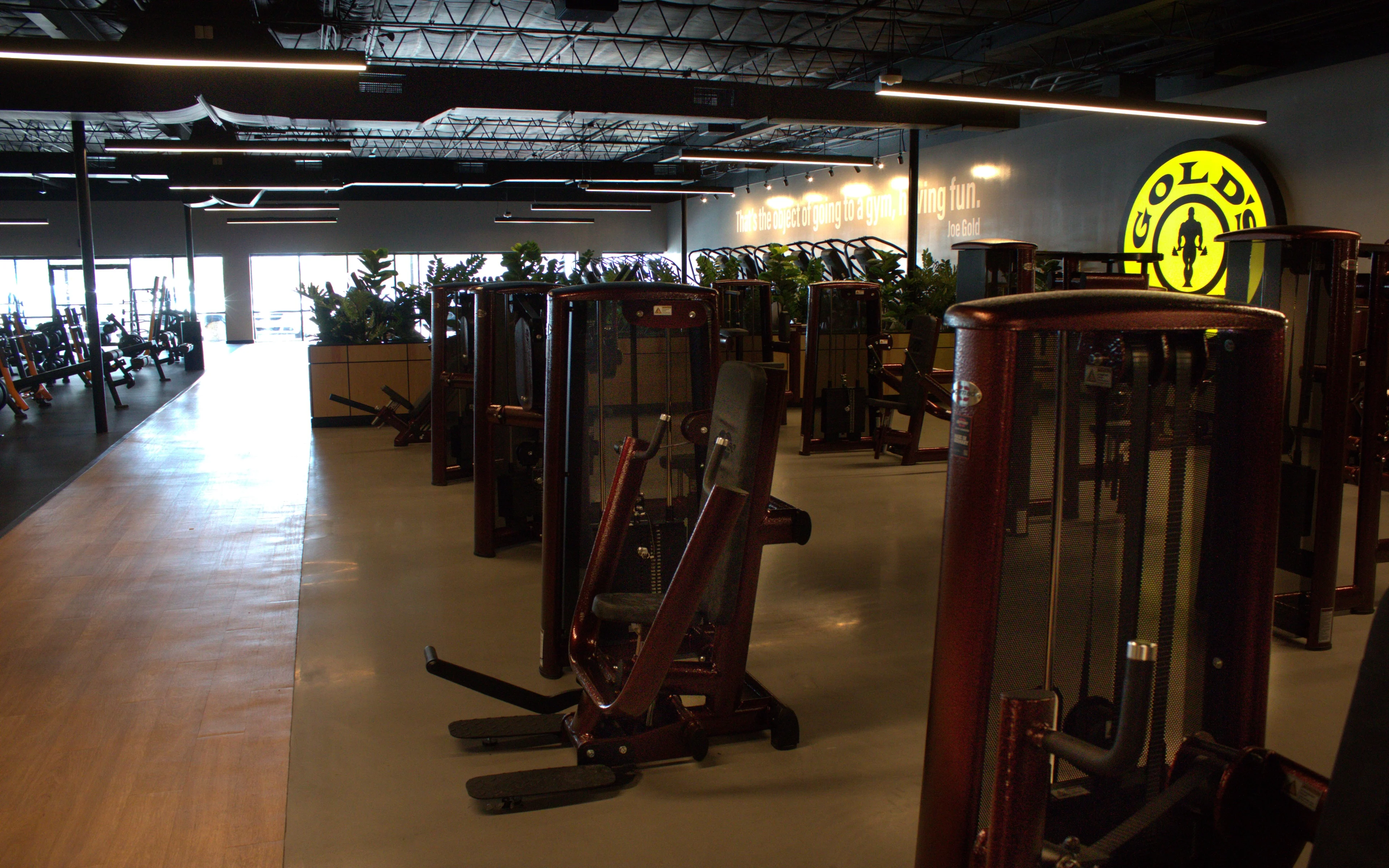 その他 Gold gym austin-burnet-machine-weights.