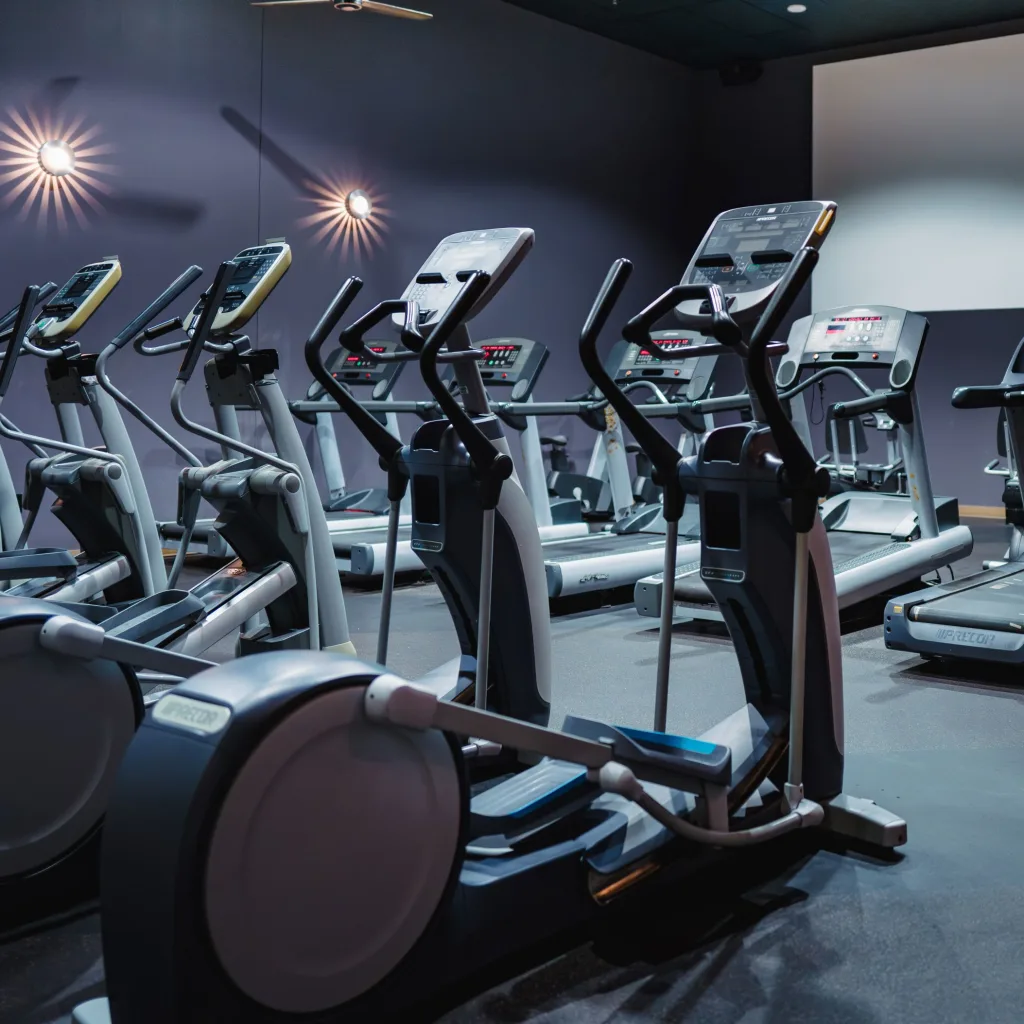 Dimly lit gym cardio room with rows of treadmills and elliptical machines facing a large projection screen, designed for a theater-like workout environment.