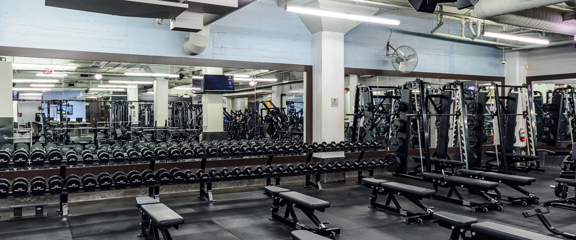 Dumbbell area at Gold’s Gym Hollywood, featuring rows of black dumbbells neatly arranged on multi-tiered racks. Adjustable benches are positioned throughout the space on black rubber flooring. Large mirrors line the walls, reflecting the free weights and surrounding strength training equipment. Overhead fluorescent lights illuminate the area, with exposed ductwork and ceiling pipes visible above. A mounted fan and wall-mounted TVs are present in the background.