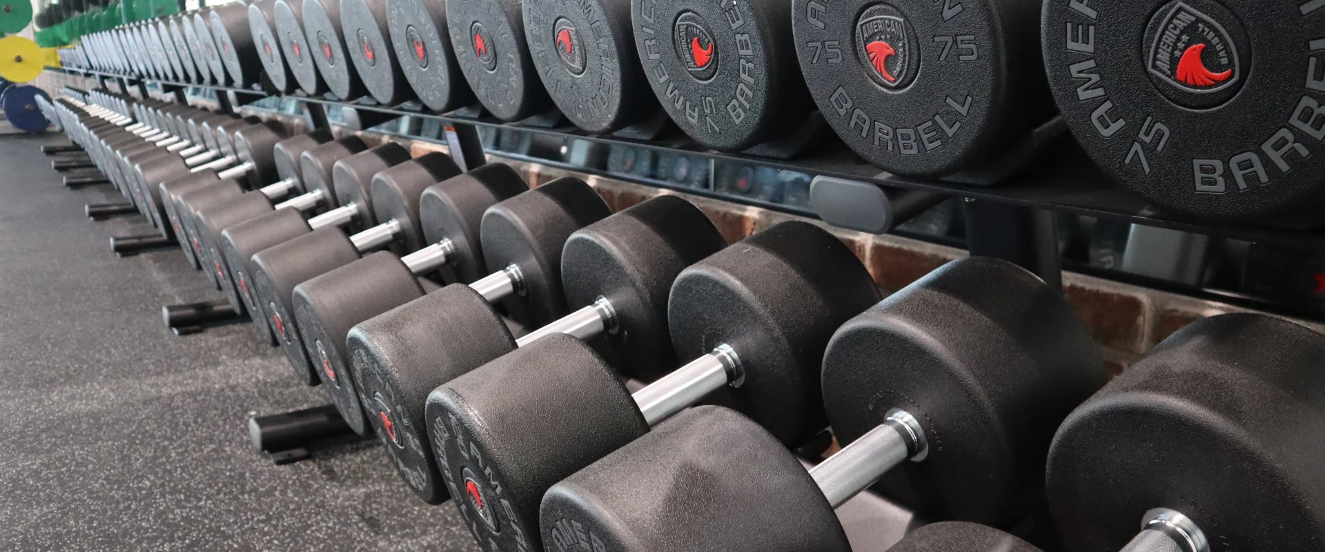 Free Weight Area